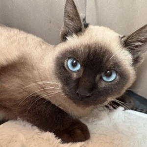 以前在籍されていた方からのご応募大歓迎！のアイキャッチ画像