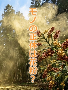 モノのアイキャッチ画像