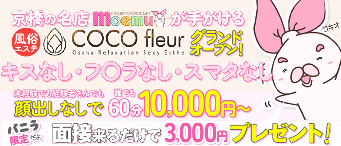 COCO fleur-ココ・フルール-の体験入店求人画像