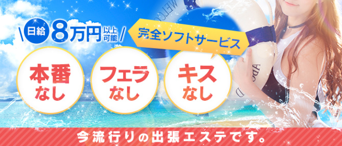 私立コスプレ学園のぽっちゃり求人画像