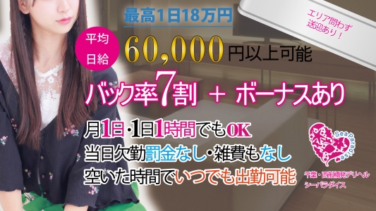 シーパラダイスの求人画像