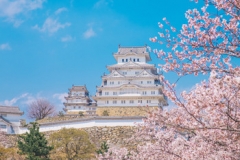 宿泊先確保できます!