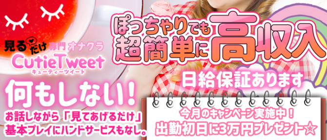 キューティーツイート日本橋のぽっちゃり求人画像