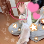一宮稲沢小牧ちゃんこで働くメリット3