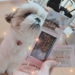 一宮稲沢小牧ちゃんこで働くメリット4