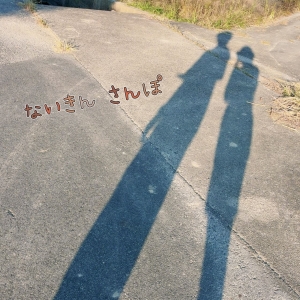 🌸夕方の影あそび🌸のアイキャッチ画像