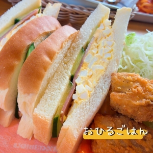 🌸コメダの進化🌸のアイキャッチ画像