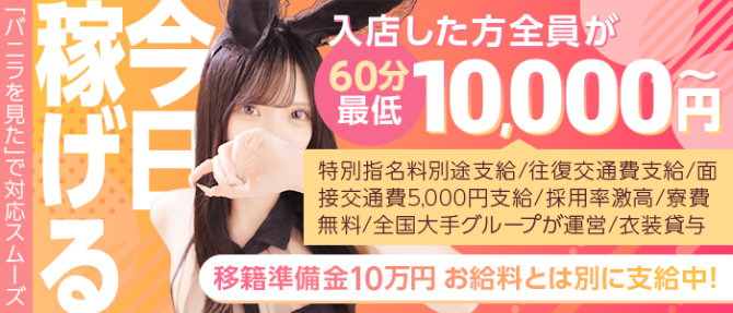 ドMなバニーちゃん名古屋・池下のぽっちゃり求人画像