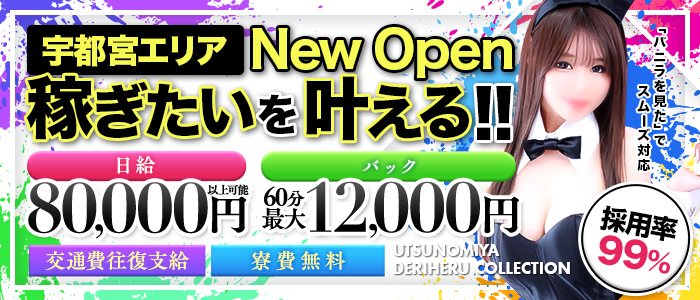 宇都宮デリヘルコレクションの求人情報