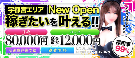 宇都宮デリヘルコレクション