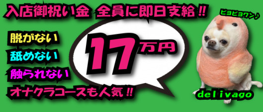 デリヘル選びは delivagoの求人情報