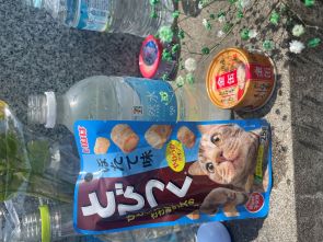 お墓参りのアイキャッチ画像