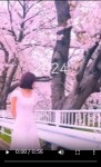桜Vlogのアイキャッチ画像