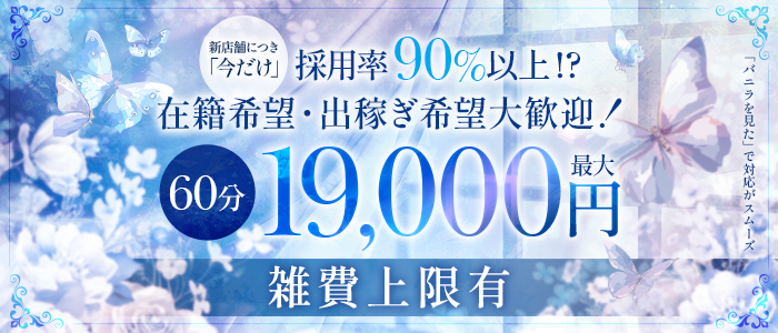 ダイヤモンド宮殿の求人画像