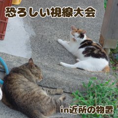 動物にも下に見られる男の話のアイキャッチ画像
