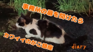 体は正直なんです(語弊)のアイキャッチ画像