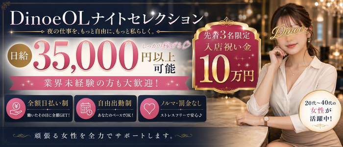 Dinoe OLナイトセレクションの求人画像