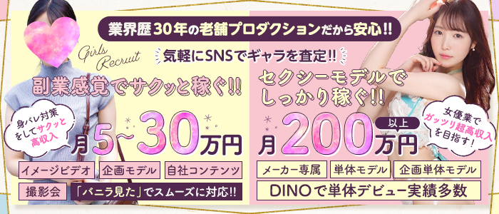 DINOの出稼ぎ求人画像