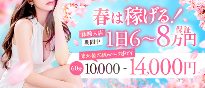 ディーノ~会えるアイドル~のぽっちゃり求人画像
