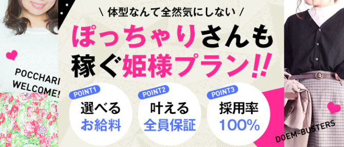 ドMバスターズ名古屋店のぽっちゃり求人画像