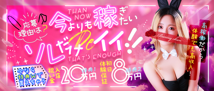 ドMなバニーちゃん 和歌山店の求人情報