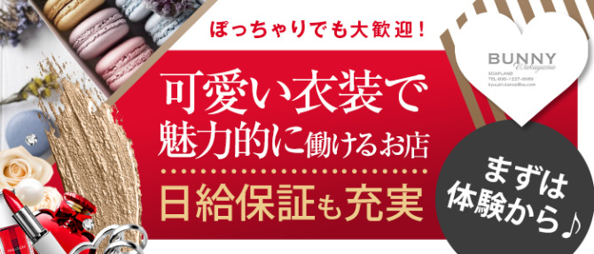 ドMなバニーちゃん 和歌山店のぽっちゃり求人画像