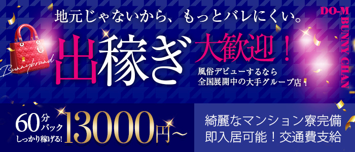 ドMなバニーちゃん名古屋柴田店の出稼ぎ求人画像