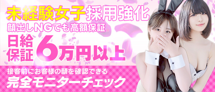 ドМなバニーちゃん徳島の未経験求人画像