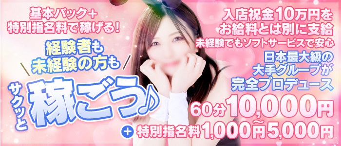 ドМなバニーちゃん徳島の求人情報
