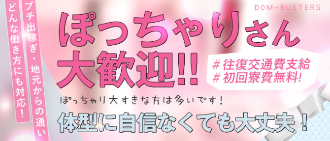 どMばすたーず宇都宮のぽっちゃり求人画像