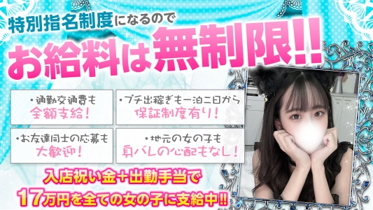 ドMバスターズ岡崎・安城・豊田店のぽっちゃり求人画像