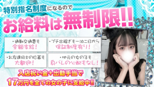 ドMバスターズ岡崎・安城・豊田店のぽっちゃり求人画像