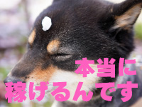 ドキドキアロマで働くメリット4