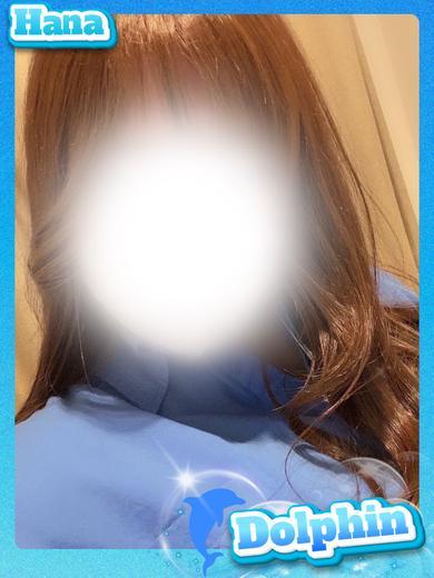 はなさん 
