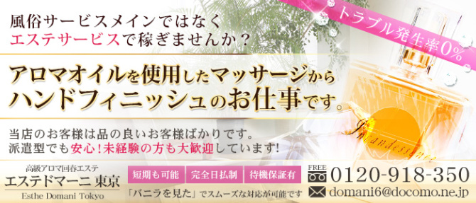 エステ ドマーニ東京のぽっちゃり求人画像