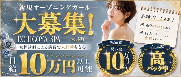 ECHIGOYA SPA 大井町