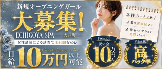 ECHIGOYA SPA 大井町