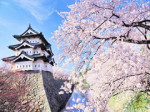 弘前からの出稼ぎ歓迎!