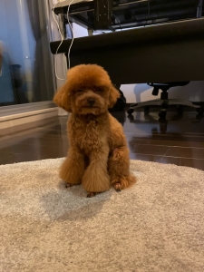 ２４時間スタッフ常勤で安心できる環境づくりへ〜のアイキャッチ画像