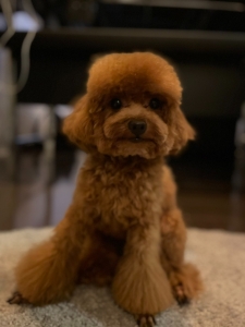 ★当店自慢のルーム紹介♪♪★のアイキャッチ画像