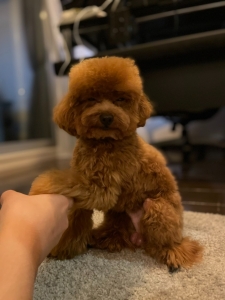 完全自由出勤制で働きやすい環境へ〜のアイキャッチ画像