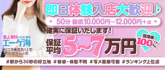 エーゲ海 SHIBATAの求人情報