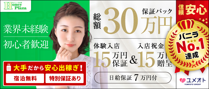 五反田ハニープラザ(ユメオト)