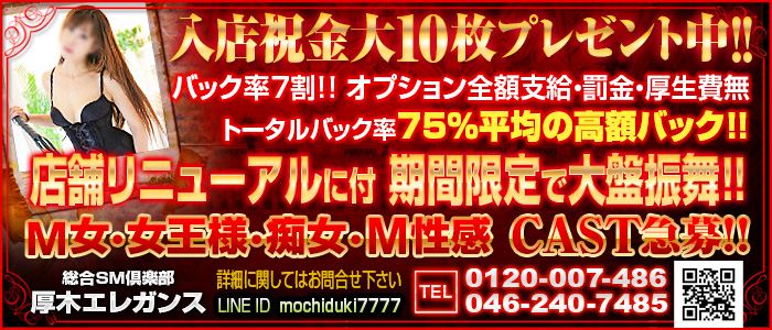 総合SM倶楽部 厚木エレガンス