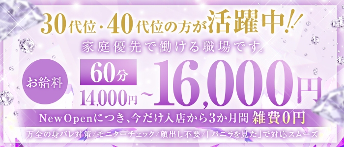 ELITEの求人情報