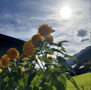 エルミタージュの現状...のアイキャッチ画像