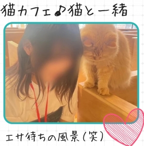 シフト提出について♪のアイキャッチ画像