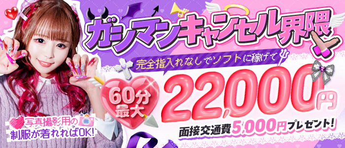 甘サド美少女、お貸しします。名古屋店のぽっちゃり求人画像