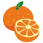 ～エレクション～オレンジのアイキャッチ画像