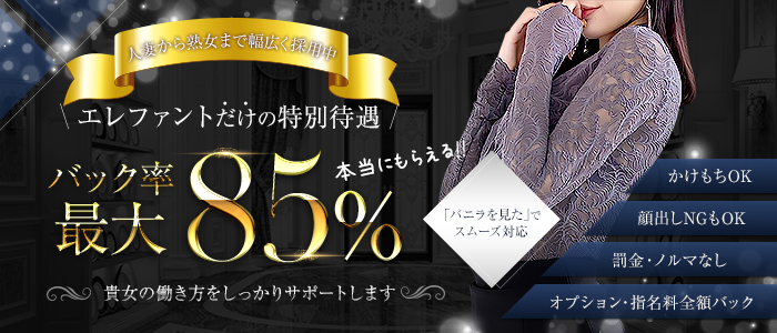 エレファントの求人情報